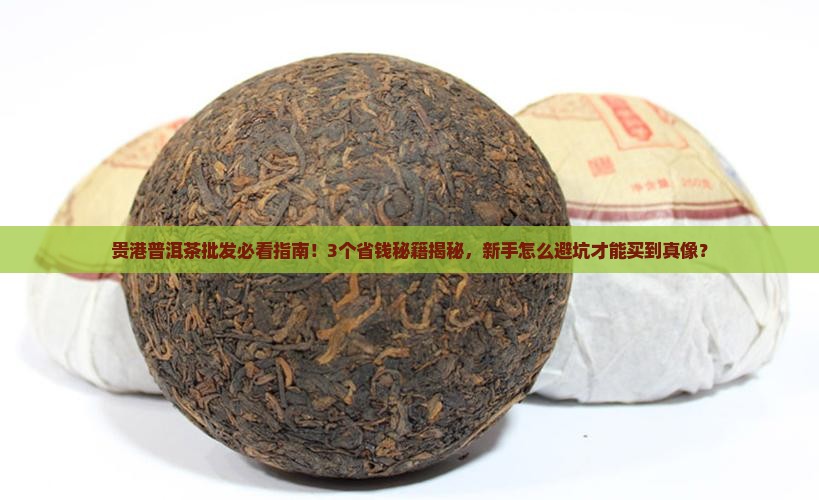 贵港普洱茶批发