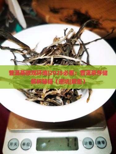 普洱茶微观环境