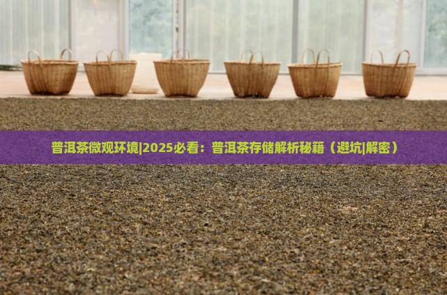普洱茶微观环境