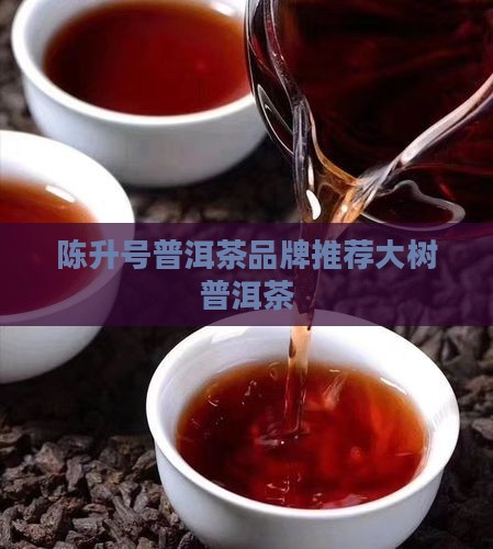 成都陈升号普洱茶 成都陈升号普洱茶