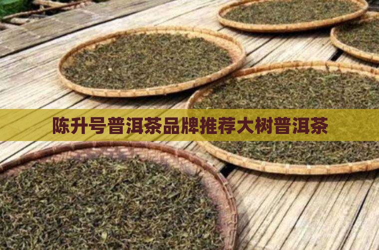 成都陈升号普洱茶 成都陈升号普洱茶