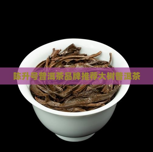 成都陈升号普洱茶 成都陈升号普洱茶