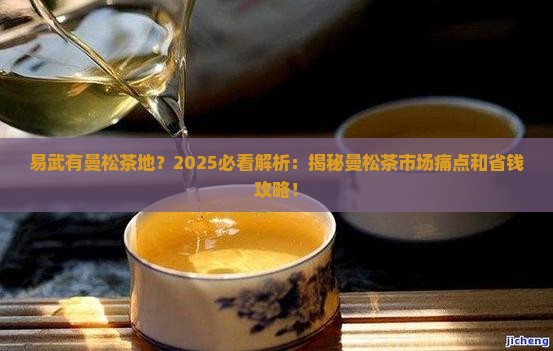 易武有曼松茶地