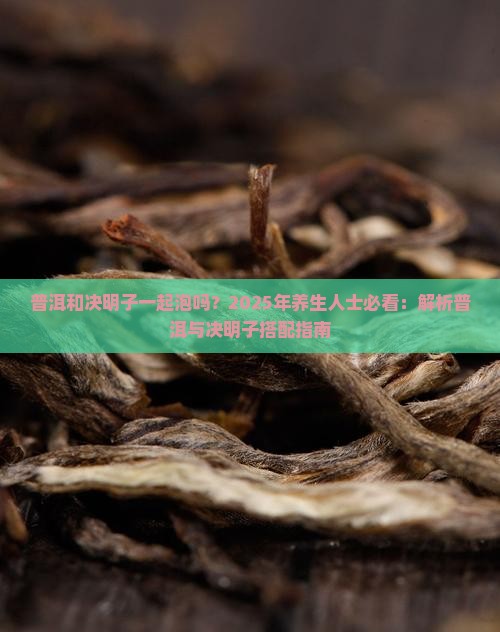 普洱和决明子一起泡吗 普洱和决明子一起泡吗