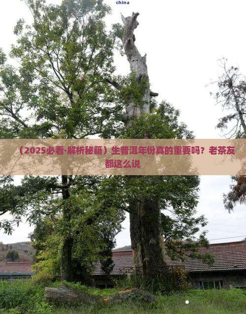 生普洱的年份有意义吗
