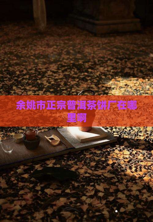 余姚市正宗普洱茶饼厂在哪里