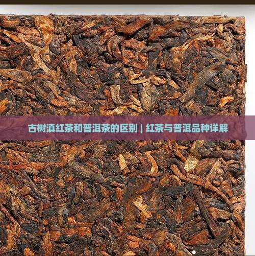 古树滇红茶和普洱茶