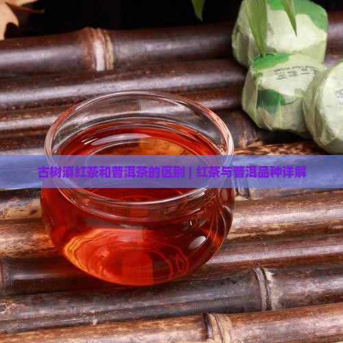 古树滇红茶和普洱茶