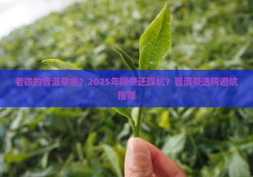 老徐的普洱茶舍