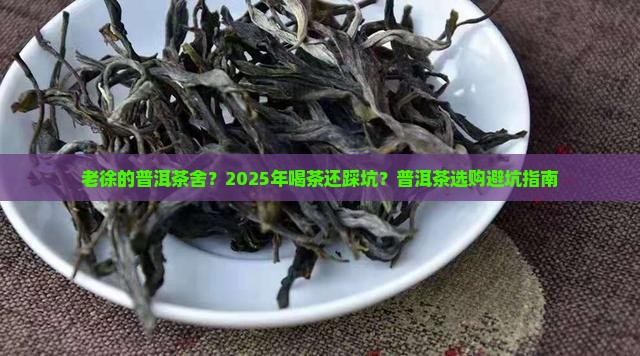 老徐的普洱茶舍