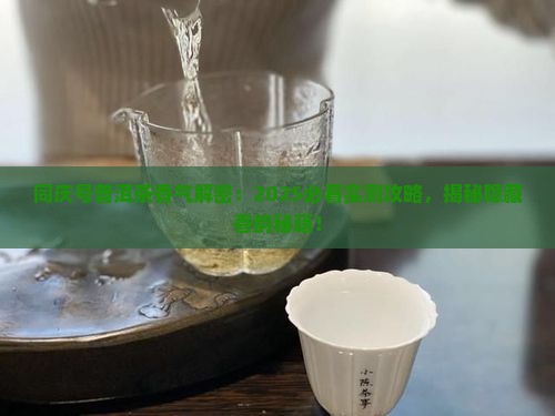同庆号普洱茶什么香气