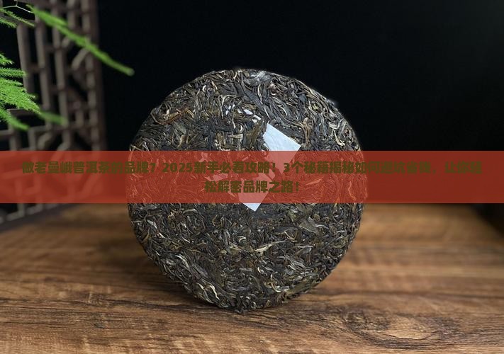 做老曼峨普洱茶的品牌