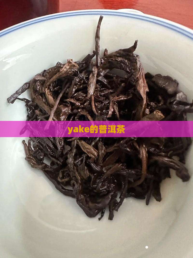 yake的普洱茶