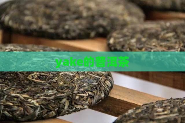 yake的普洱茶