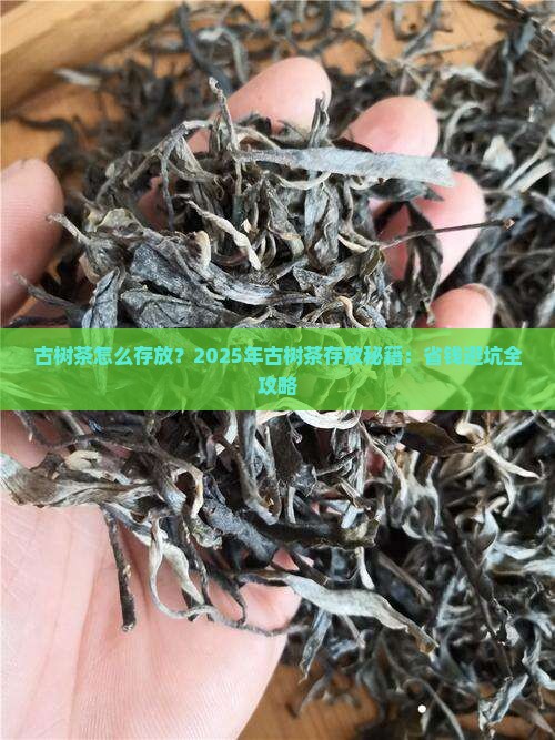 古树茶怎么存放