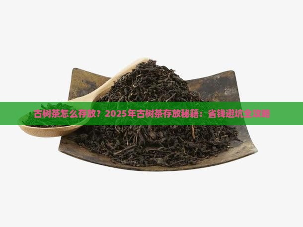古树茶怎么存放