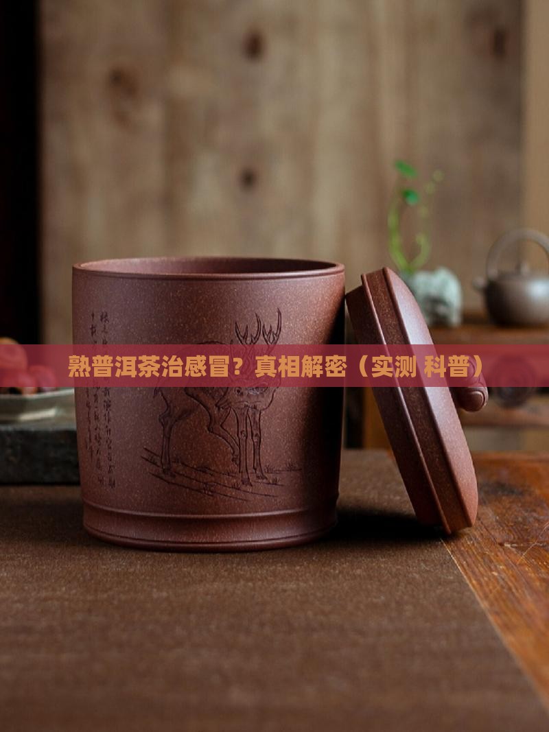 熟普洱茶治疗感冒吗