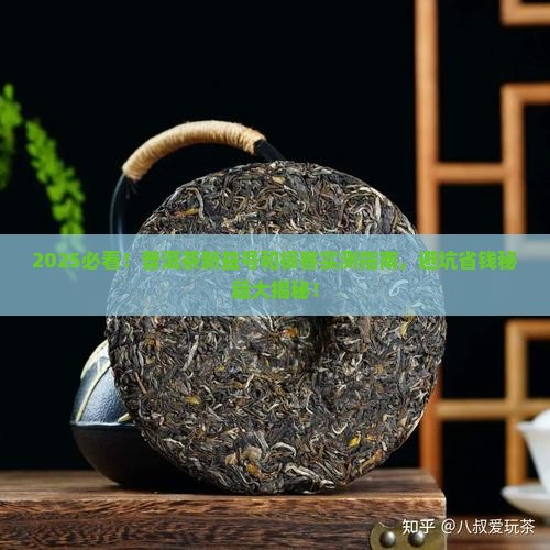 普洱茶新益号和极客