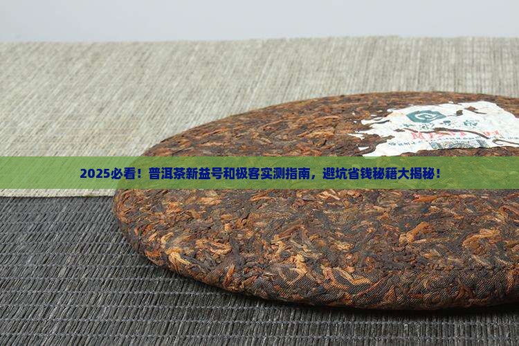 普洱茶新益号和极客