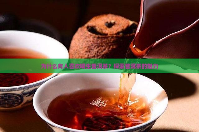 为什么有人喝生普洱茶