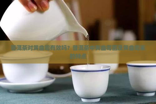 普洱茶对黄曲霉有效吗
