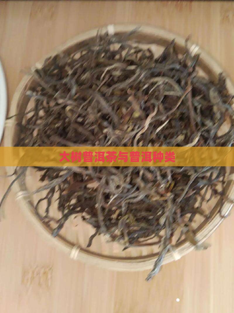 绿大树普洱茶种类