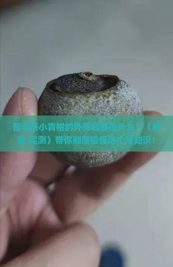 普洱茶小青柑外壳是什么