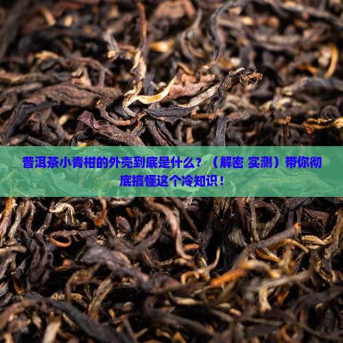 普洱茶小青柑外壳是什么