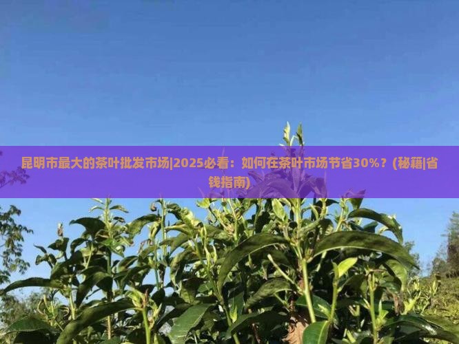 昆明市最大的茶叶批发市场