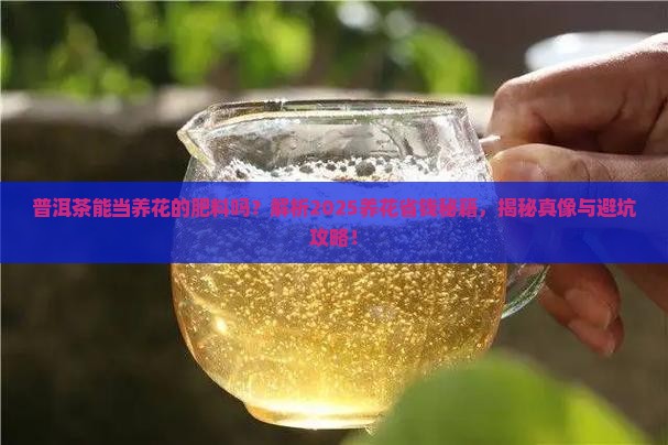 普洱茶能当养花的肥料吗