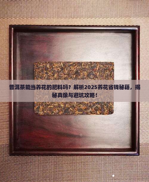 普洱茶能当养花的肥料吗