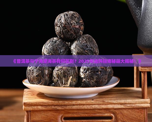 普洱茶宁海望海茶