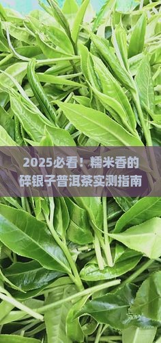 糯米香的碎银子普洱茶