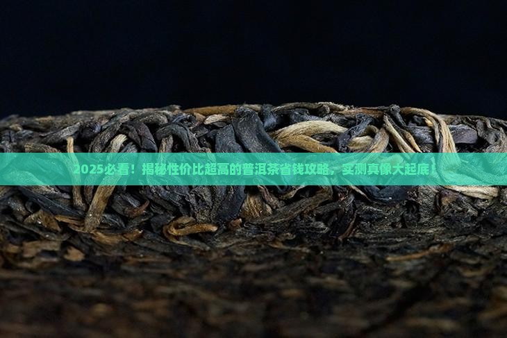 有什么性价比极高的普洱茶