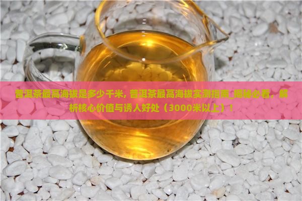 普洱茶最高海拔是多少千米