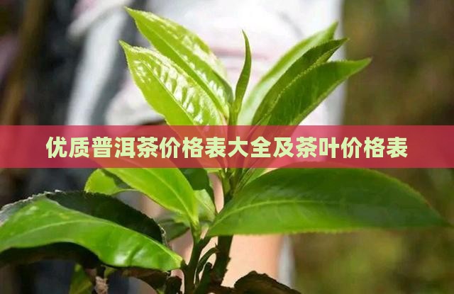 优质普洱茶价格表