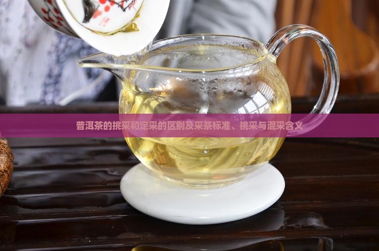 普洱茶的挑采和定采的区别