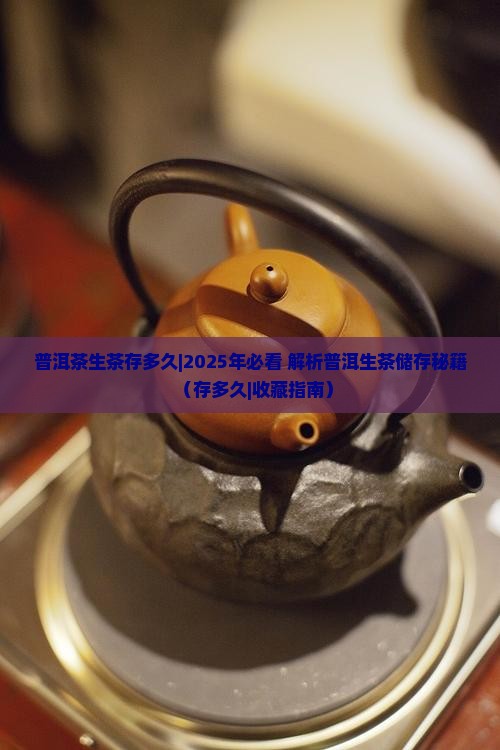 普洱茶生茶存多久