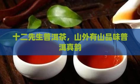 十二先生山外有山普洱茶