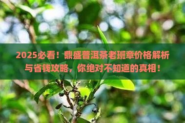 鼎盛普洱茶老班章价格
