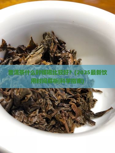 普洱茶什么时候喝比较好的