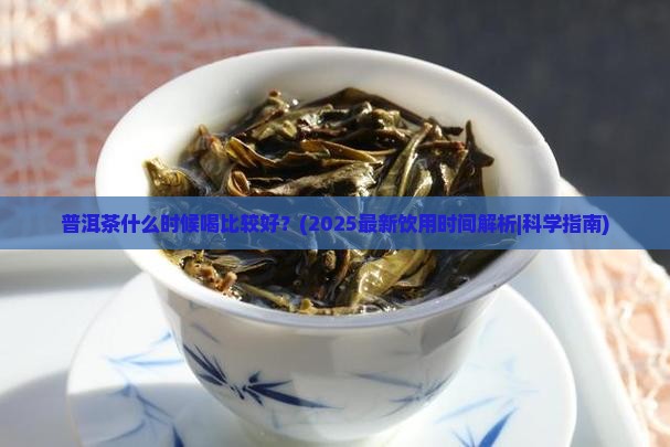 普洱茶什么时候喝比较好的