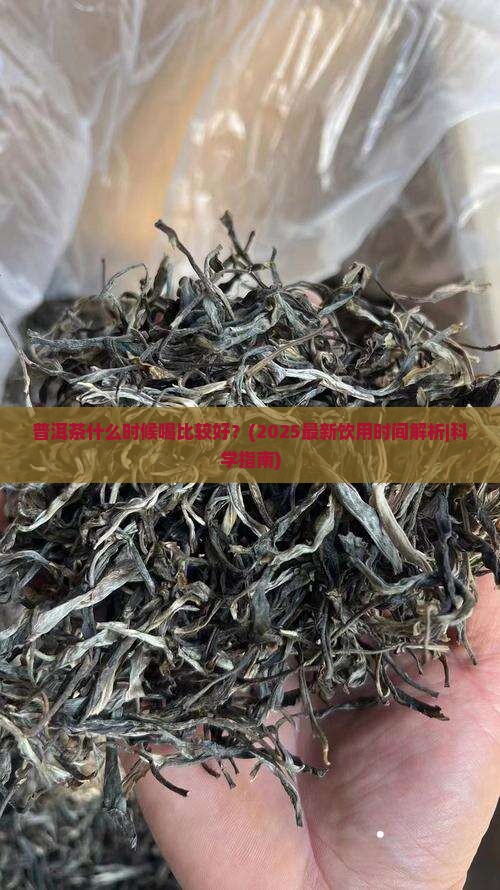 普洱茶什么时候喝比较好的