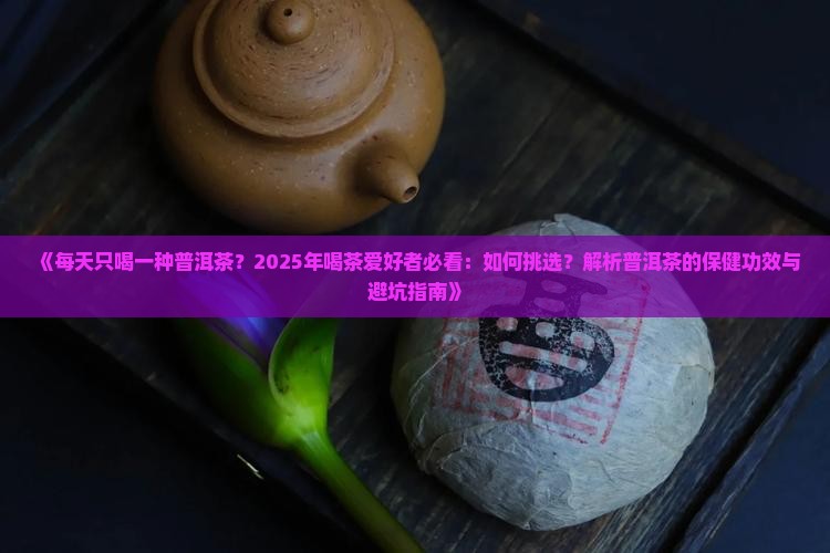 每天只喝一种普洱茶