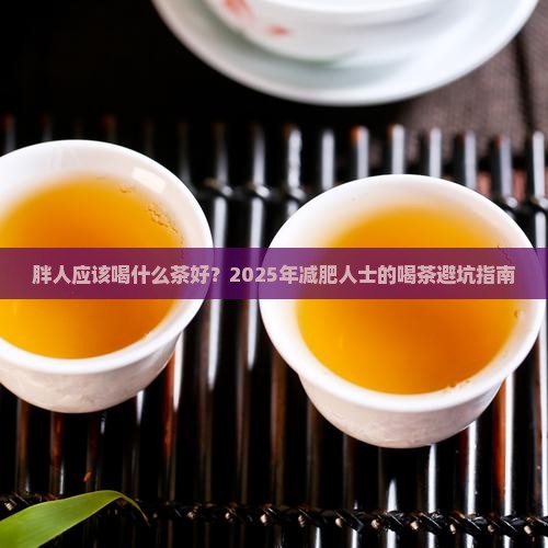 胖人应该喝什么茶好