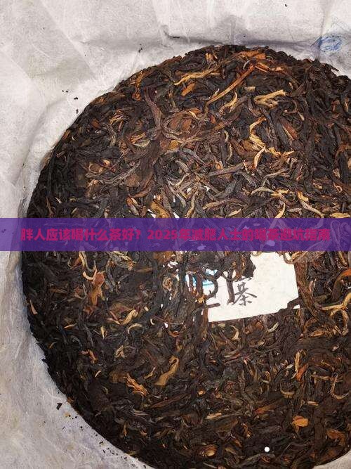 胖人应该喝什么茶好