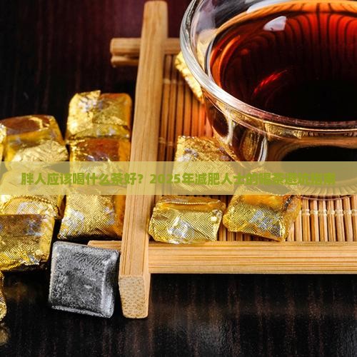 胖人应该喝什么茶好
