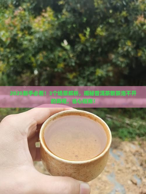 普洱茶散茶泡不开