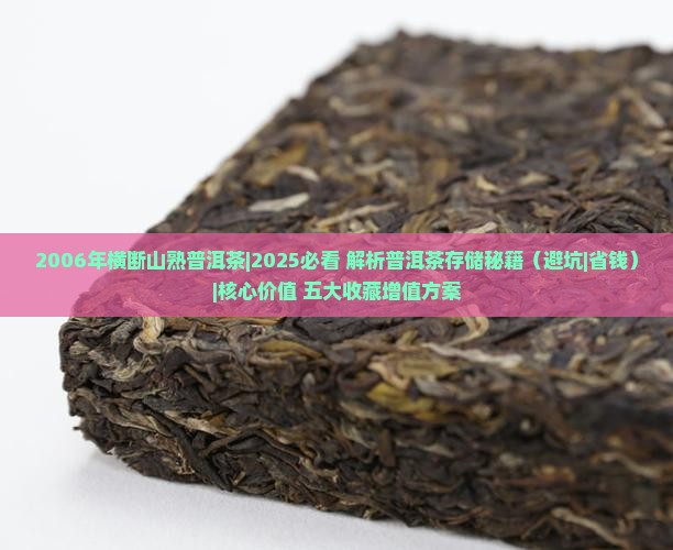 2006年横断山熟普洱茶