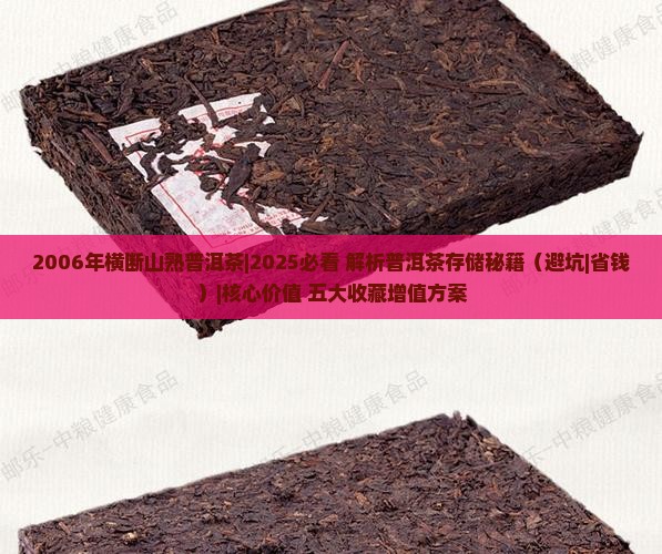 2006年横断山熟普洱茶